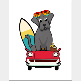 Funny Big Dog is driving to the beach Posters and Art